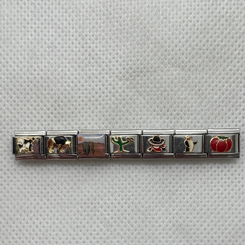 Assortment of Silver Charm Links for Nomination Charm Bracelet